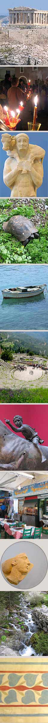 Montage of Study Tour images